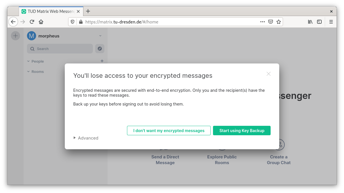 Query if messages should be encrypted